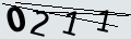 verifycode